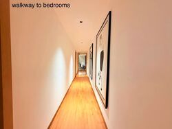Park Street (D1), Condominium #557376791